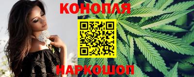 стафф Дубна