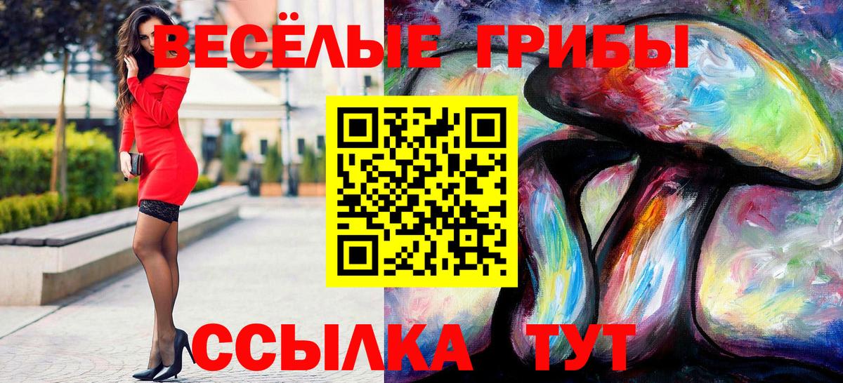 наркотики  Вход с VPN  Галлюциногенные грибы Cubensis  Медногорск  Псилоцибиновые грибы Psilocybine cubensis 